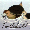 turtleduckfi7