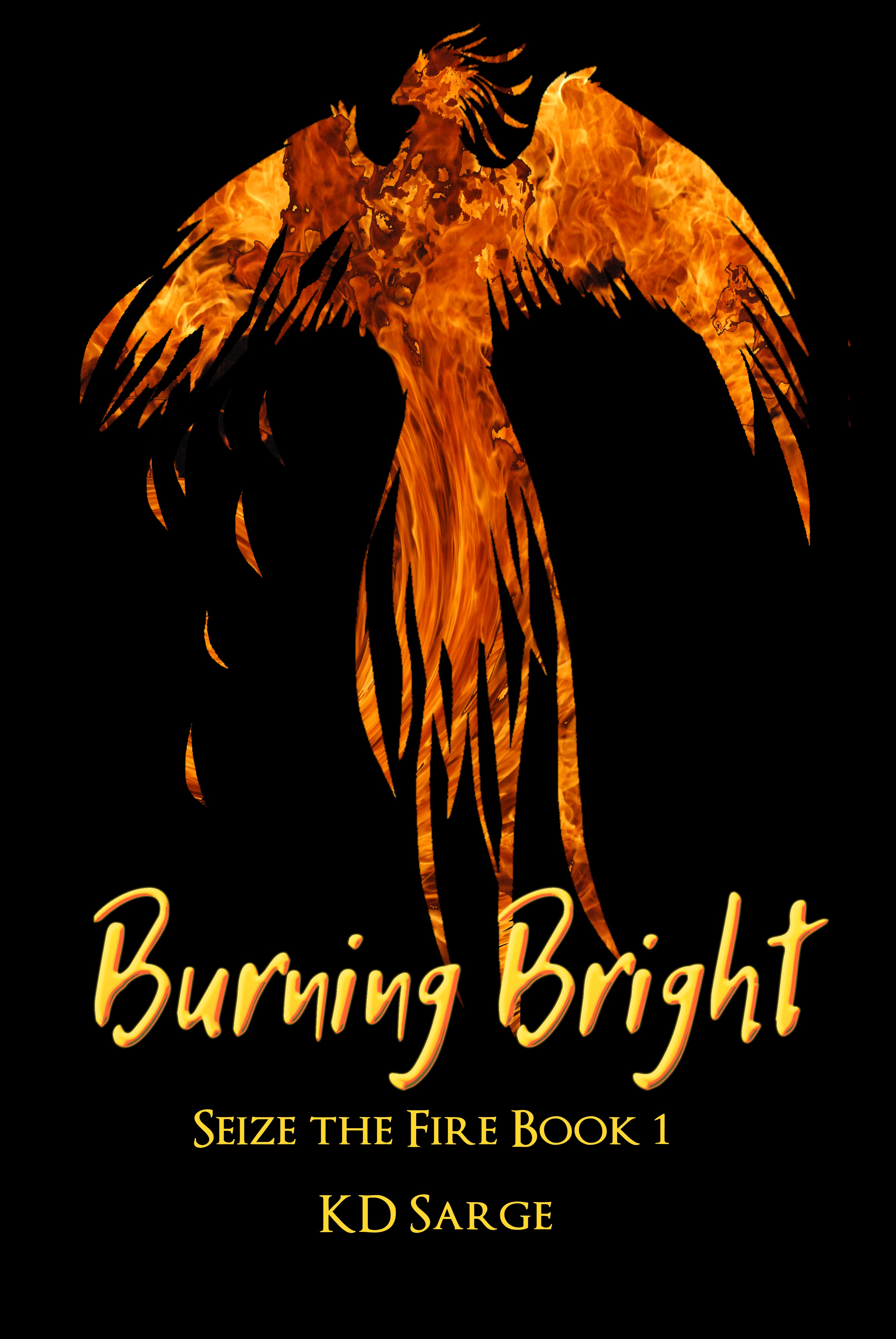 Burning Bright Cover