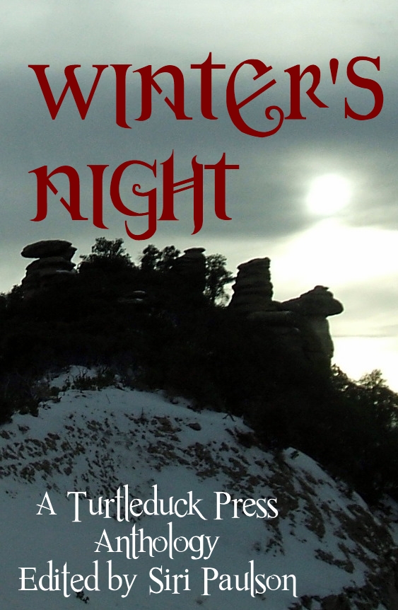 Winter's Night cover